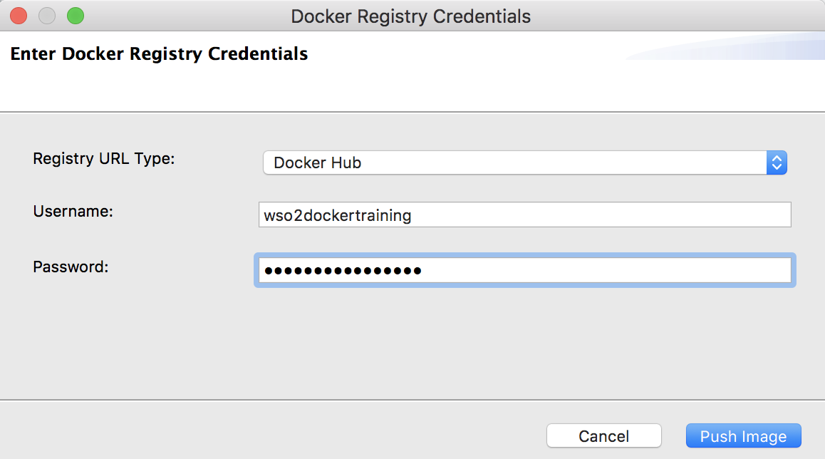 Docker Registry Auth Details